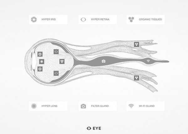 MHOX建议将Wifi和生物打印等新技术相结合，以生产增强型仿生眼&nbsp;