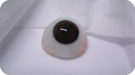 聚甲基丙烯酸甲酯义眼片